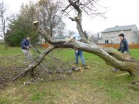 Cutting Wood - 11-10-12 04.jpg