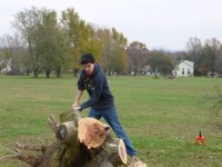 Cutting Wood - 11-10-12 36.jpg
