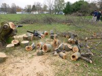 Cutting Wood - 11-10-12 38.jpg