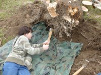 Cutting Wood - 11-10-12 43.jpg