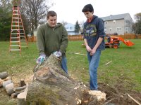 Cutting Wood - 11-10-12 45.jpg