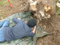 Cutting Wood - 11-10-12 49.jpg