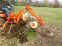 Cutting Wood - 11-10-12 53.jpg