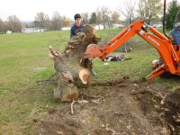 Cutting Wood - 11-10-12 63.jpg