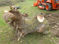 Cutting Wood - 11-10-12 65.jpg