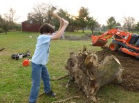 Cutting Wood - 11-10-12 86.jpg