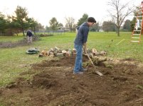 Cutting Wood - 11-10-12 87.jpg