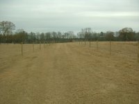 DSC04503.JPG