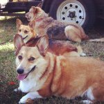 Pack Stack.jpg