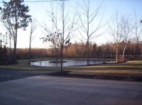 551381-pond2.jpg