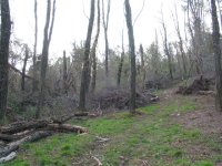 507908-IMG_0117.JPG