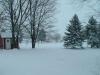 551550-snow.jpg