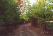 591409-PA-driveway-web.jpg