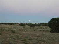 419249-moon rise.JPG