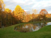 552264-fall.jpg