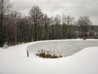 552267-winter.jpg