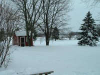 552301-snow1.jpg