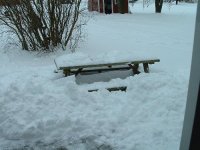 552306-snow3.jpg
