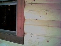 464551-IMG0004.jpg