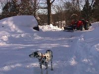552471-MVC-015F.JPG