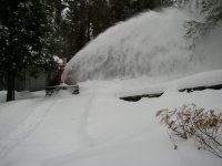 503049-snow12.jpg