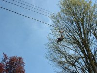 420070-shoesonawire.jpg