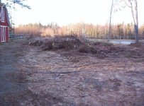 552819-new lawn.jpg