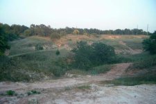 465470-GullyGully.jpg