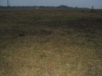 553078-432013propertycleared.JPG