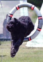 420637-rudy tire.jpg