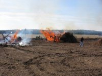 374727-Burning day.jpg