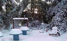 553369-snow.jpg