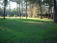 553380-Land1.jpg