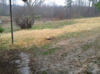 2013-02-19 14.12.38.jpg