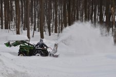 DSC_0398.jpg