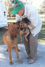 2013-01-26-14.gif