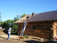 cabin roof 086.jpg