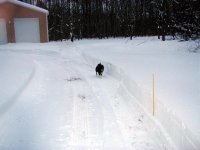 BarnSnowTrail022707.jpg