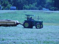 2nd Cutting 2012 2012-09-23 022.JPG