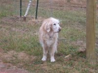 IMG_1647 (Small).JPG