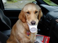 Bailey & cup small.jpg