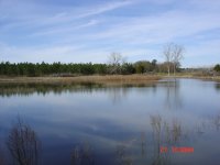 DSC01275.JPG