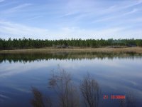 DSC01276.JPG