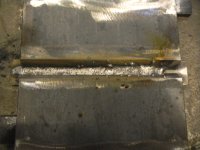 Root.JPG