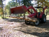 11-24-12 Peeling Gate Post.jpg