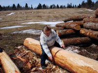 Mother peeling Logs.jpg