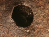Rear Axle Cover 2.jpg