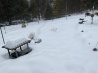 IMG_0424.jpeg