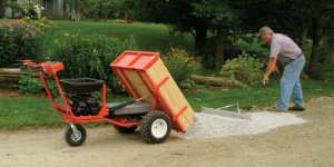 wheelbarrow.jpg