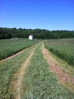 hay 1.JPG